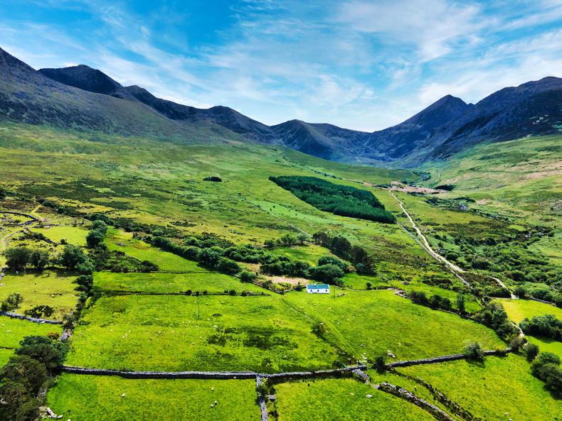 Dempsey at Large: remembering Ireland's longest serving Minister for Agriculture