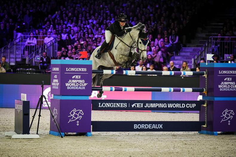 The Norman breeders floating on a cloud to the World Cup finals   