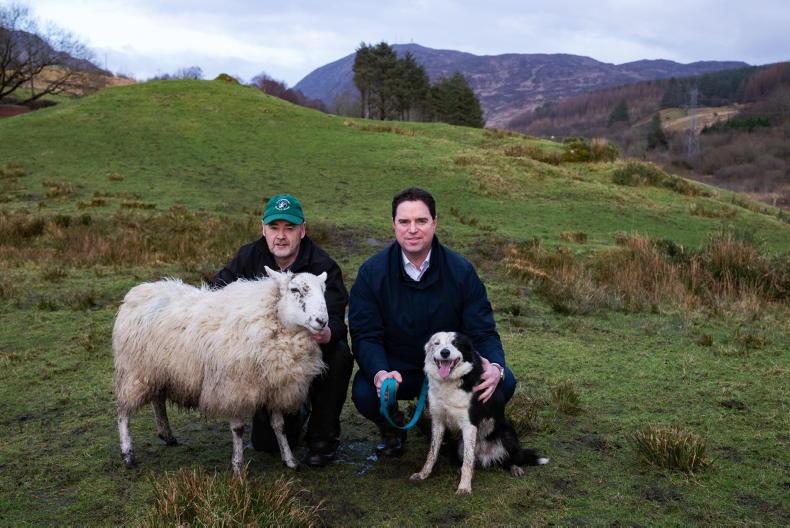 Minister flags upcoming awareness campaigns for dog owners