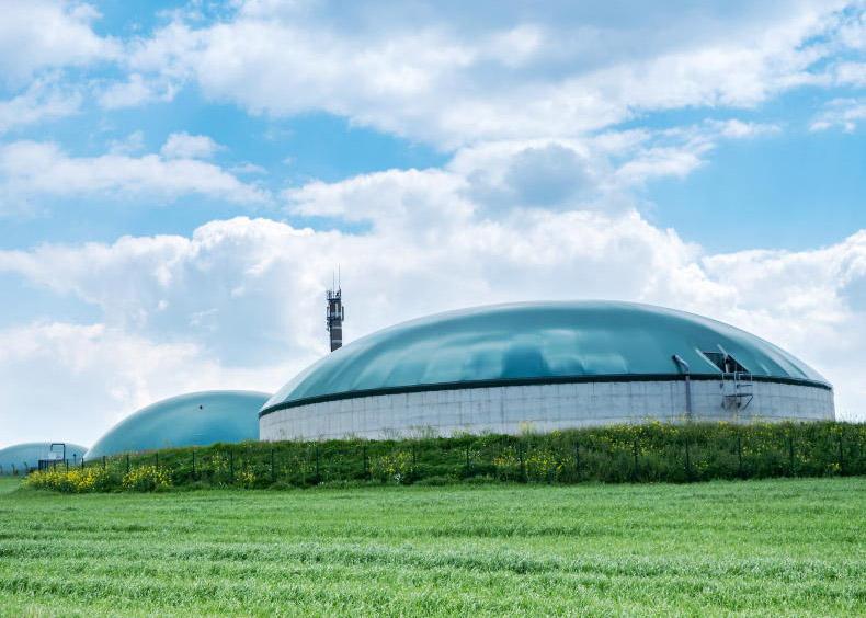 RENURE – can it work in Ireland? 