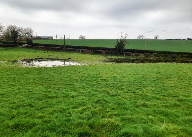 A record-breaking winter of rain