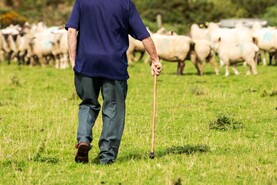 Public consultation on CAP post-2027 now open