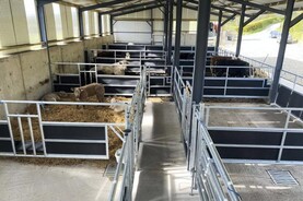 77% of tranche nine TAMS applications selected – as ranking comes into play