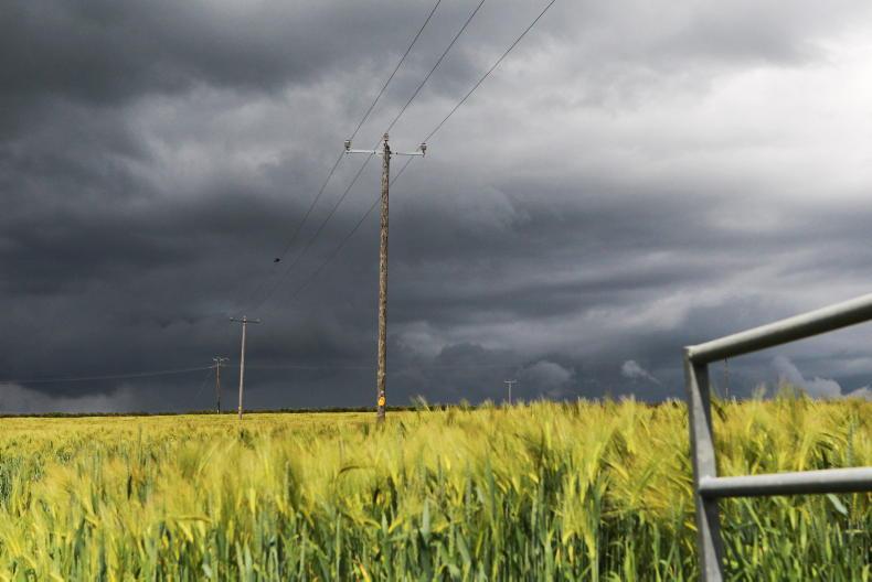 Support package of €30m for tillage sector