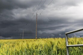 Support package of €30m for tillage sector