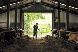 More detail needed from Bord Bia on plans to simplify audits - ICMSA