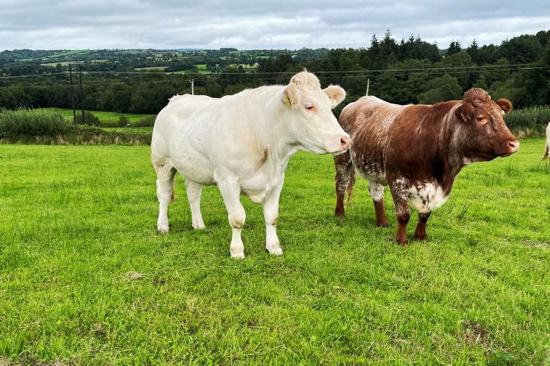 Applications sought for innovation farms