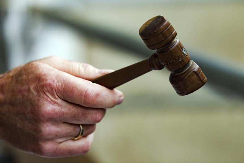 Will the State be in the running for massive Wicklow hill farm?