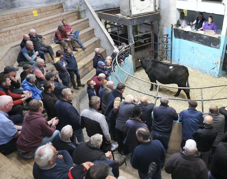 Northern Ireland diary of events