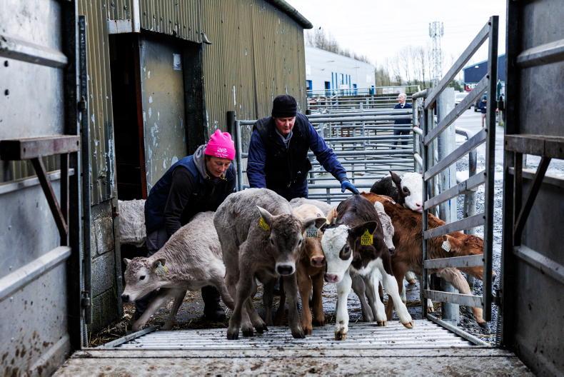 Tullow Mart celebrates 70 years in business