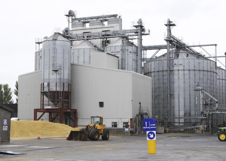Boortmalt offers Stradbally reduced contracts     