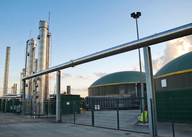 No new DAFM AD grants – but €200m scheme promised