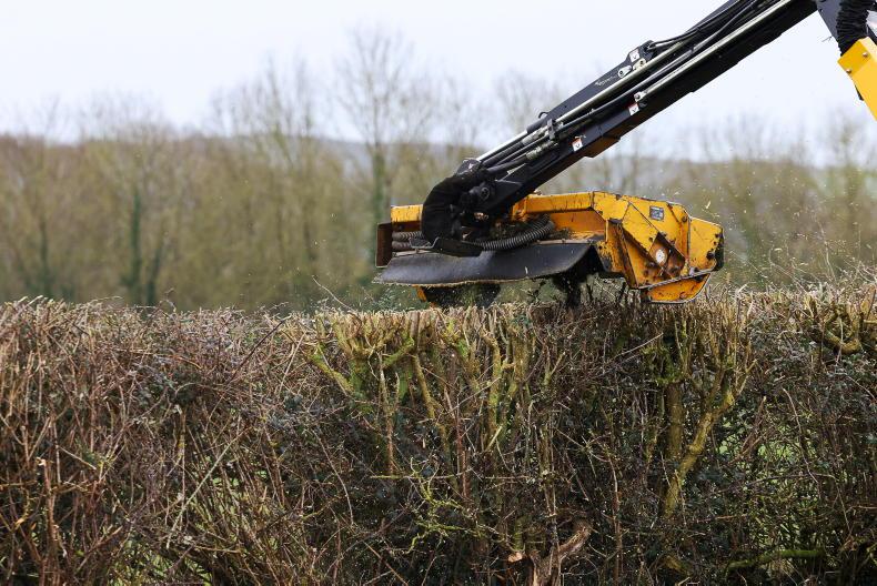 Hedge-cutting season ends this weekend 