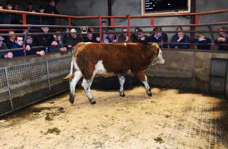 Northern View: factories shave 2p/kg off base quotes