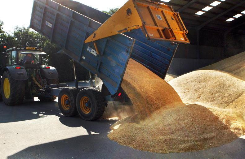 NI grain growers in cash-flow crisis