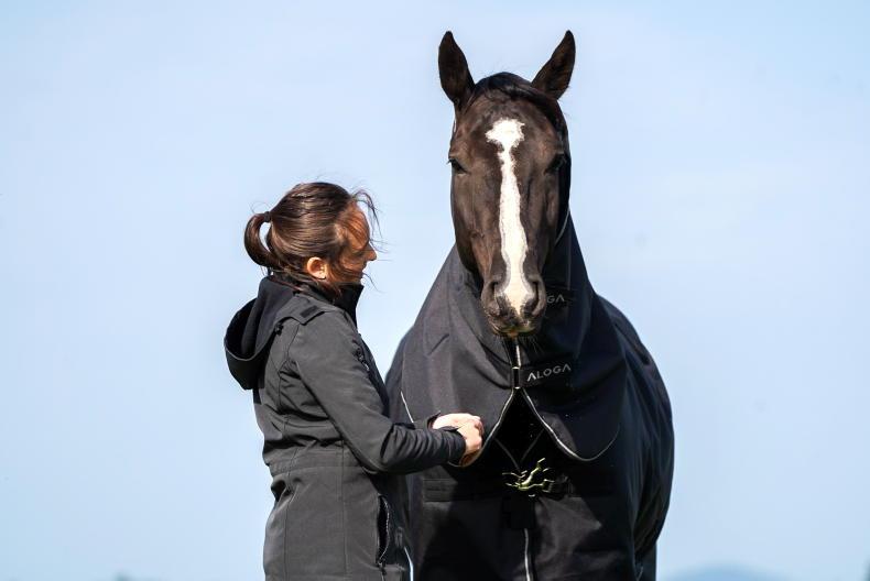 Blanketing benefits for broodmares at Ballywalter