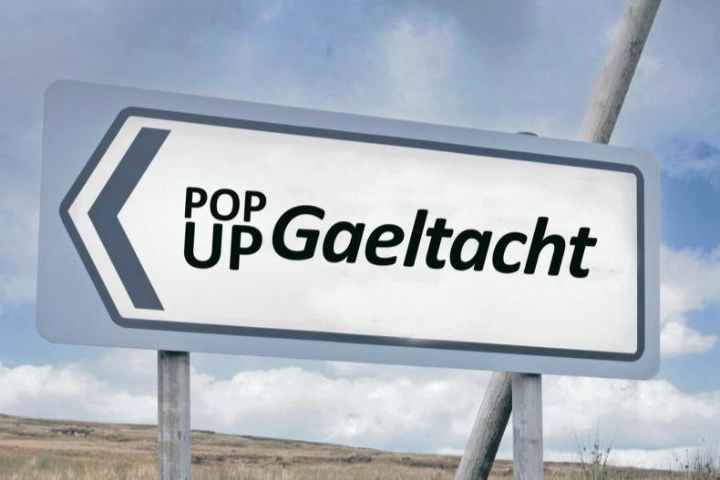 Irish language revival: cúpla focail bringing rural communities together