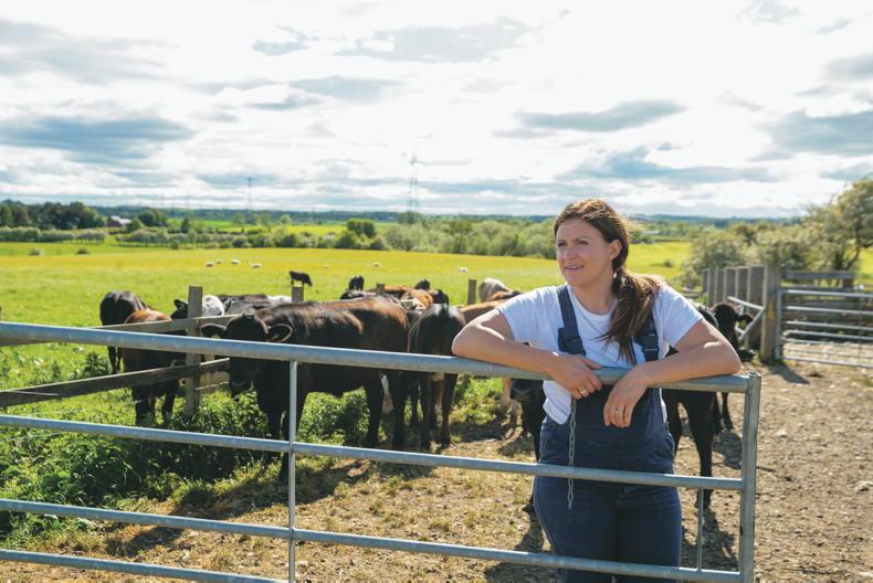 Money Mentor: what happens to your tax when you move abroad?