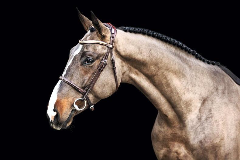 No fluke in the Flip line      