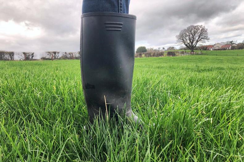 Dairy Management: improved weather forecast for coming week