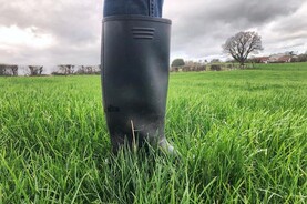 Dairy Management: improved weather forecast for coming week