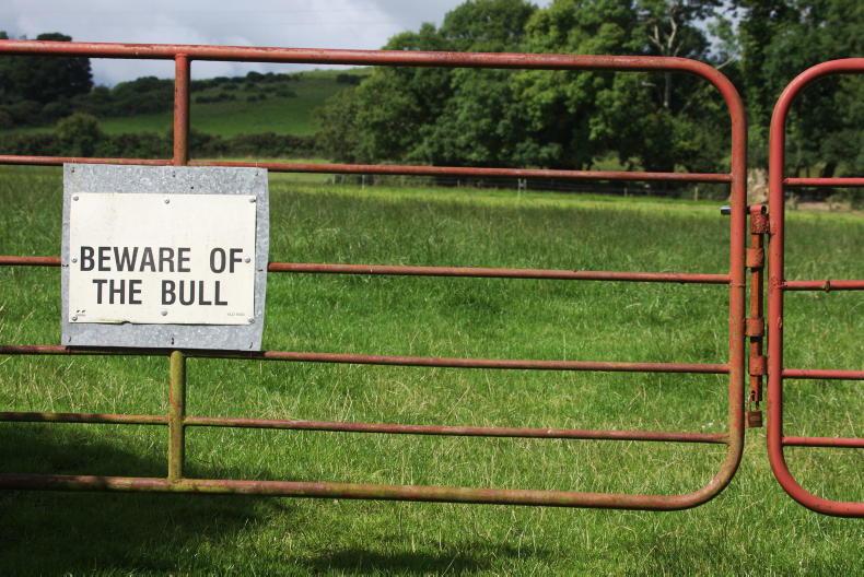 Near doubling in number of farm deaths in 2025 'devastating' - minister 