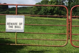 Near doubling in number of farm deaths in 2025 'devastating' - minister 