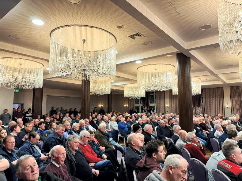 IFA president 'concerned for the future of Bord Bia if this isn’t resolved'