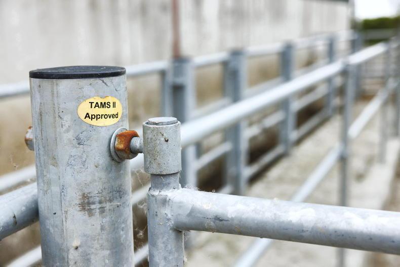 Current demand for TAMS 'off the charts' - Minister 