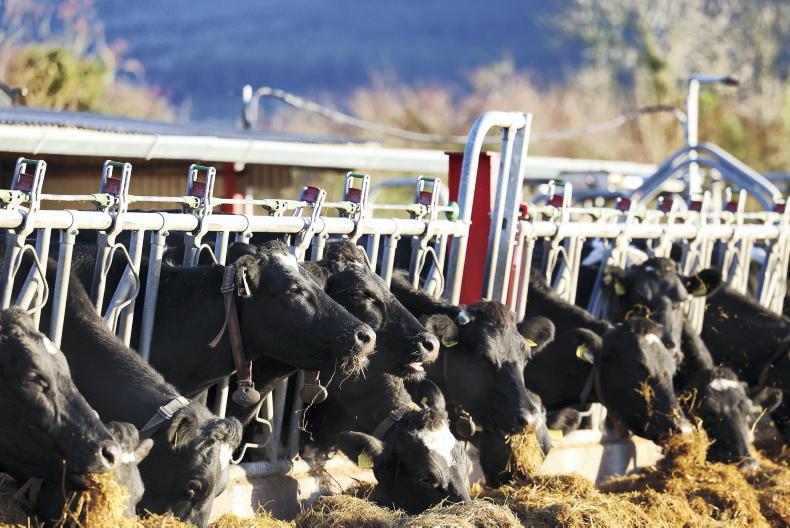 Weekend weather: showers with occasional bright spells