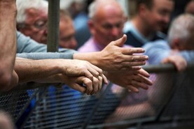 Opening border to NI for live exports 'not without its risks' - Minister