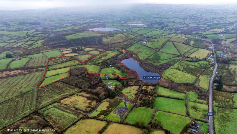 Demand on the rise for grazing properties in the midlands