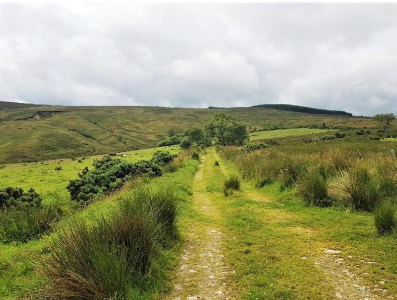 'Nearly impossible' for farmers to get answers or advice on ACRES - INHFA