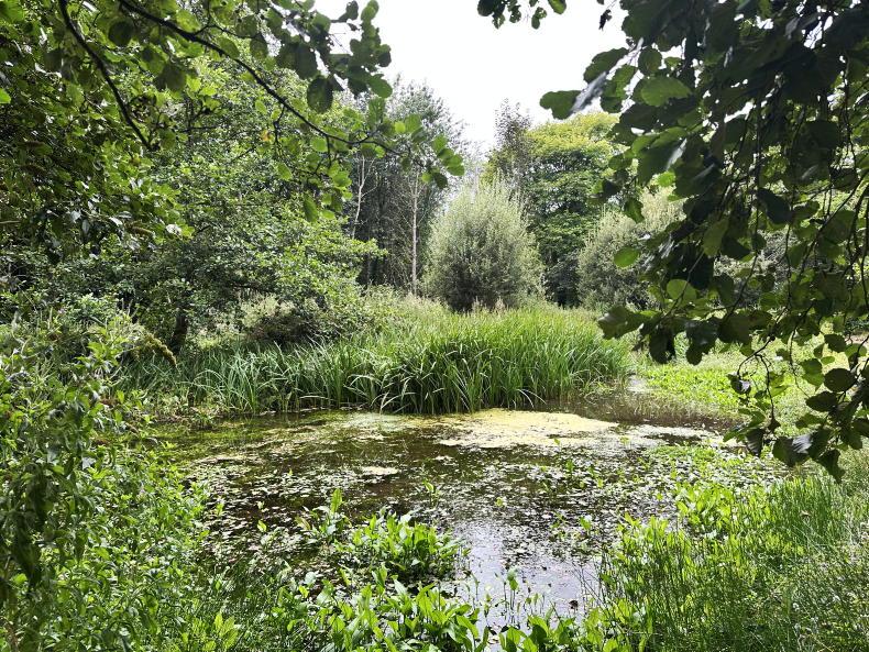 Over €200,000 invested in nature in 2025 through Refarm project