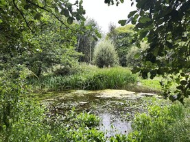 Over €200,000 invested in nature in 2025 through Refarm project