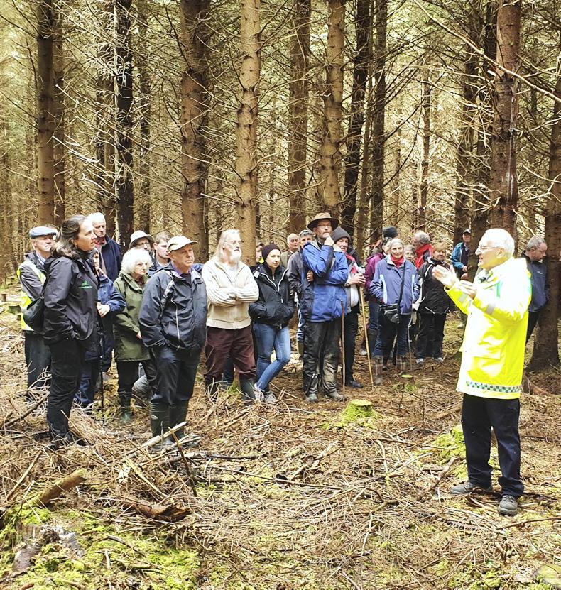 No shortage of forestry information events in 2026