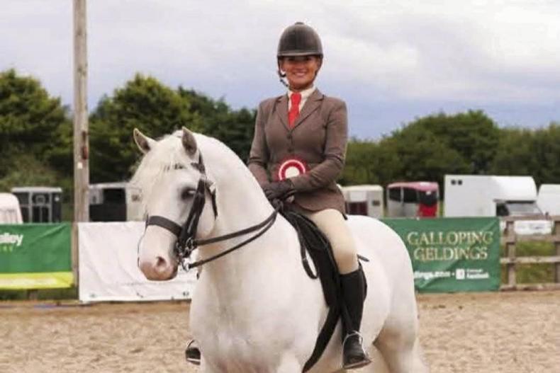 Connemara broodmare blueprint