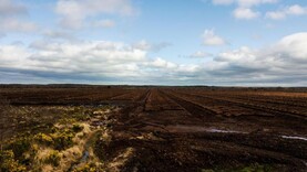 Call for drones to be used to catch illegal peat extraction