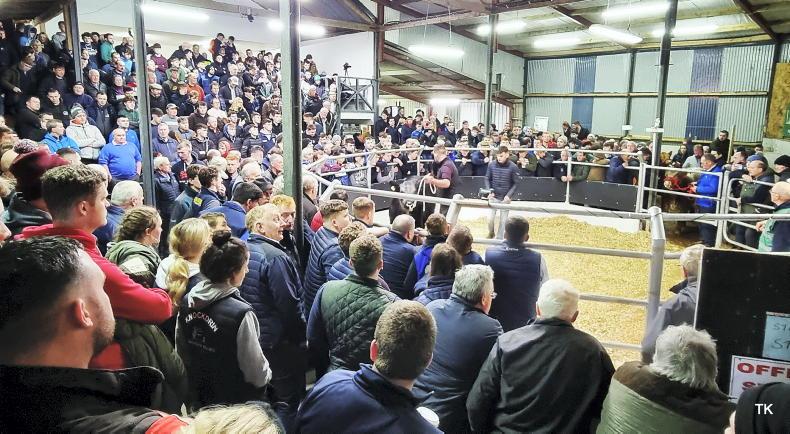 RDS acknowledges 100 years of pedigree sales in Carrick