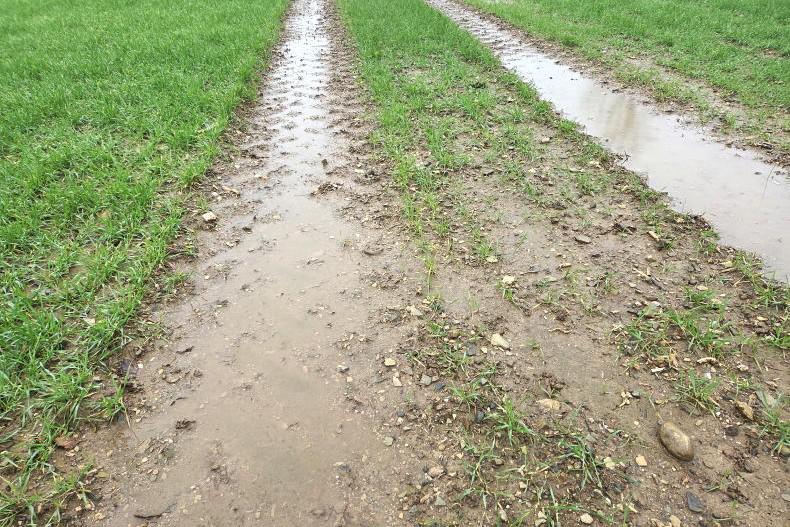 Tillage Management: seed, fertiliser and measuring oilseed rape