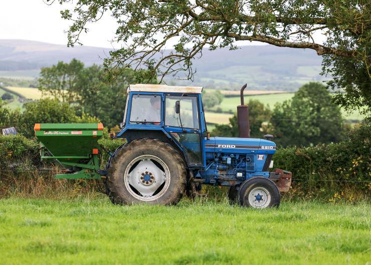 Dealing with delayed turnout on suckler farms