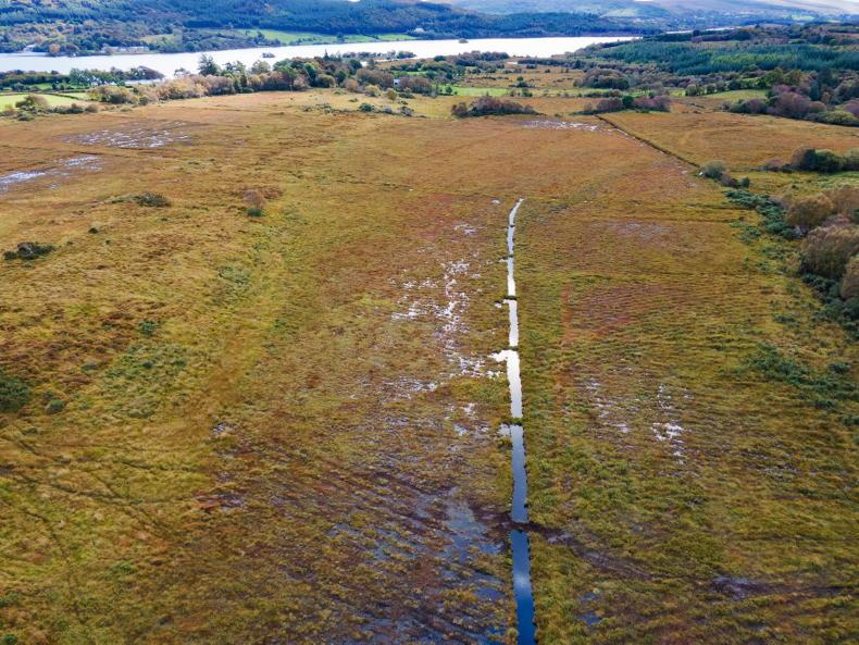 €600m bill for nature restoration a possibility