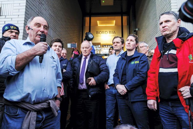 28 days inside Bord Bia: reaction from the five 