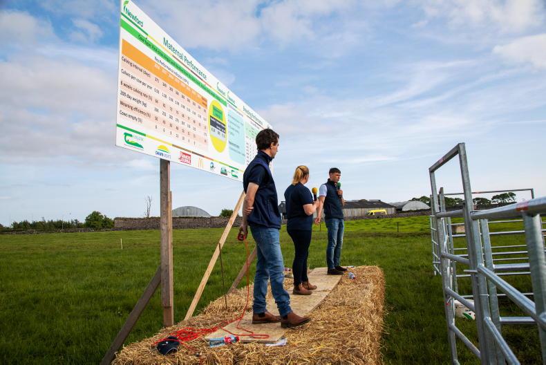 Newford suckler farm open day set for April