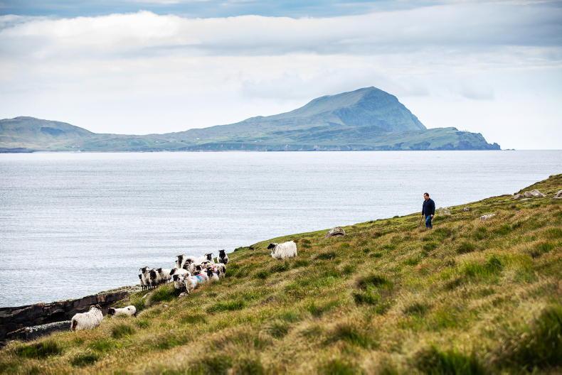 ACRES failing Achill’s commonage farmers, say scheme participants