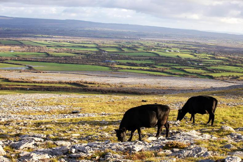 Department savaged over 'heritage' tag for replica gates