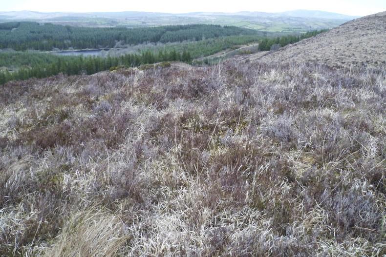 Comment: a long-running saga of ANC payments