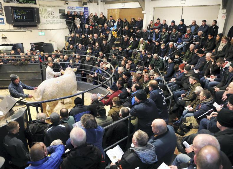 Northern Ireland diary of events