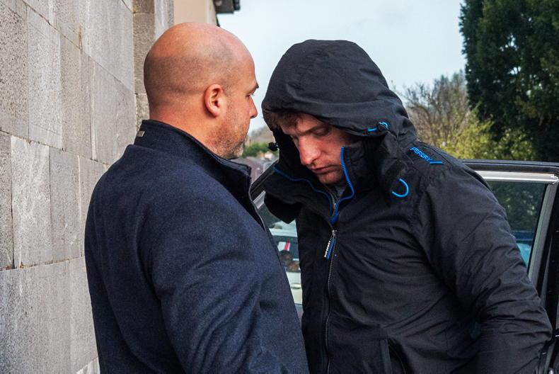 Continuing bail for 32-year-old accused of cattle theft