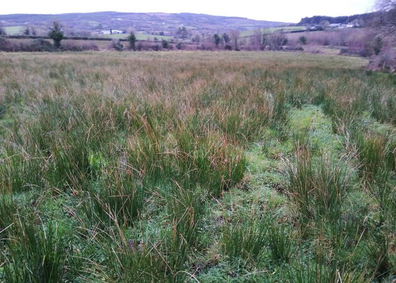 Over 45,000ha added to 2026 farm maps